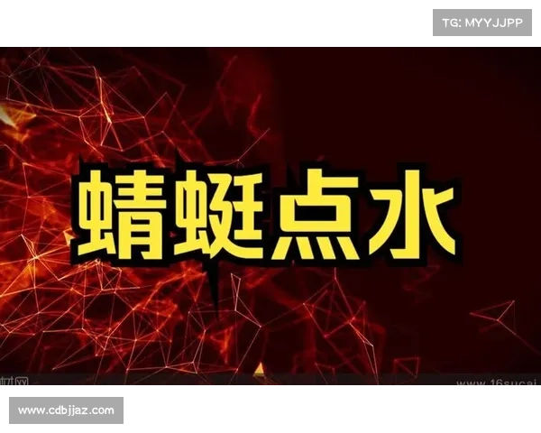 蜻蜓点水般的在线探索技巧揭示轻松掌握信息快速获取的秘密 蜻蜓点水般的在线探索技巧揭示轻松掌握信息快速获取的秘密