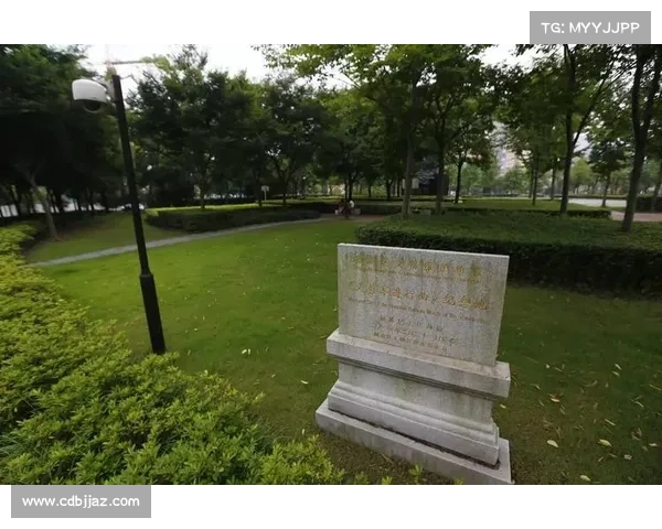 为家人送上胜利的心声激励与希望点燃未来的光辉道路 为家人送上胜利的心声激励与希望点燃未来的光辉道路